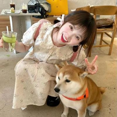 疯狂上路